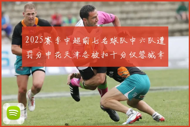 2025赛季中超前七名球队中六队遭罚分申花天津各被扣十分仅蓉城幸免